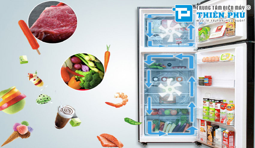 Khám phá chi tiết dòng tủ lạnh LG 2 cánh GV-B242BL mới ra mắt 2022