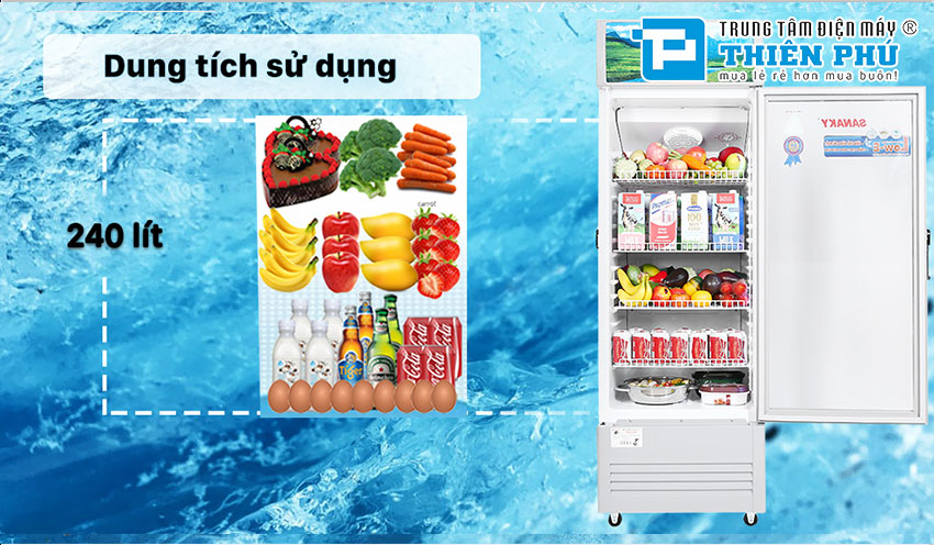 Khám phá chiếc tủ mát Sanaky 1 cánh VH-308KL cùng Điện Máy Thiên Phú 