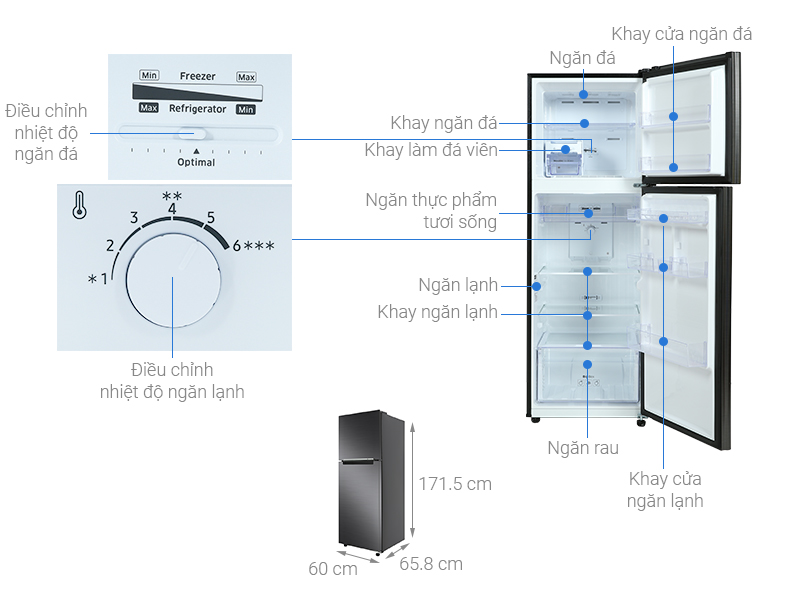 Lý do bạn nên chọn tủ lạnh Samsung RT32K503JB1/SV cho không gian của mình