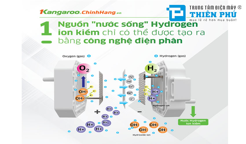 Máy lọc nước Kangaroo Hydrogen KG100EED lọc sạch tốt với sức khoẻ người dùng 