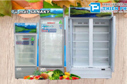 Lựa chọn tủ mát Sanaky giá rẻ theo những tiêu chí nổi bật gì?