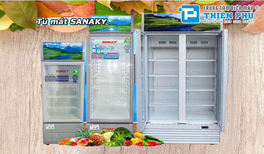 Lựa chọn tủ mát Sanaky giá rẻ theo những tiêu chí nổi bật gì?