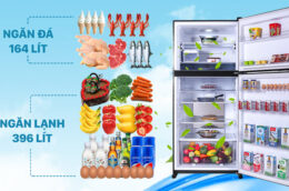 3 điểm nổi bật bạn nên biết về chiếc tủ lạnh Sharp SJ-XP620PG-BK 560 lít