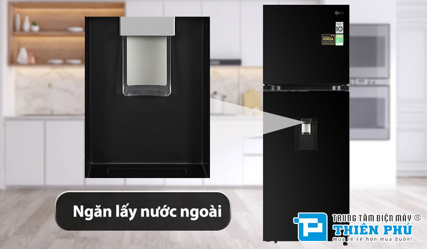 Tủ Lạnh LG Inverter 2 Cánh 314 Lít GN-D312BL