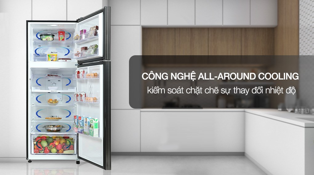 Tủ lạnh Samsung 2 cánh inverter RT46K603JB1/SV có ưu điểm gì nổi bật?