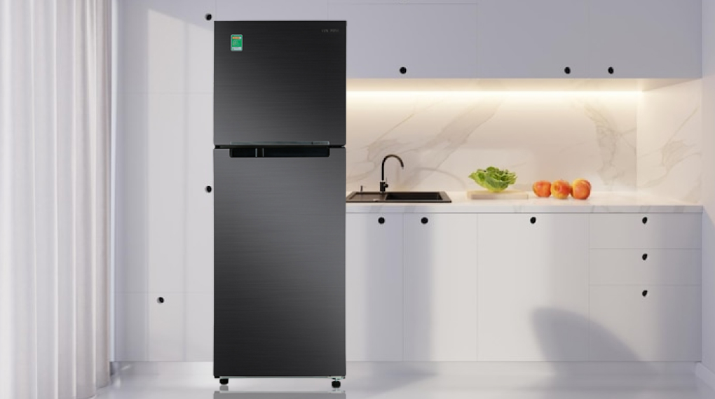 Giới thiệu tủ lạnh Samsung RT29K503JB1/SV 2 cánh - Tủ lạnh cho mọi nhà