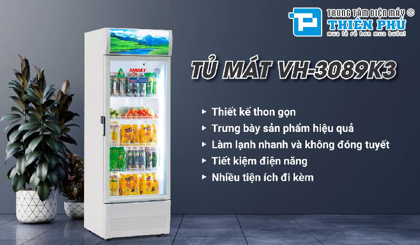 Tủ Mát Sanaky Inverter 300 Lít 1 Cánh VH-3089K3