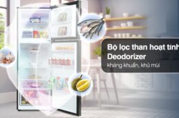 Tủ lạnh Samsung 2 cánh RT29K503JB1/SV model 2022 có gì nổi bật?