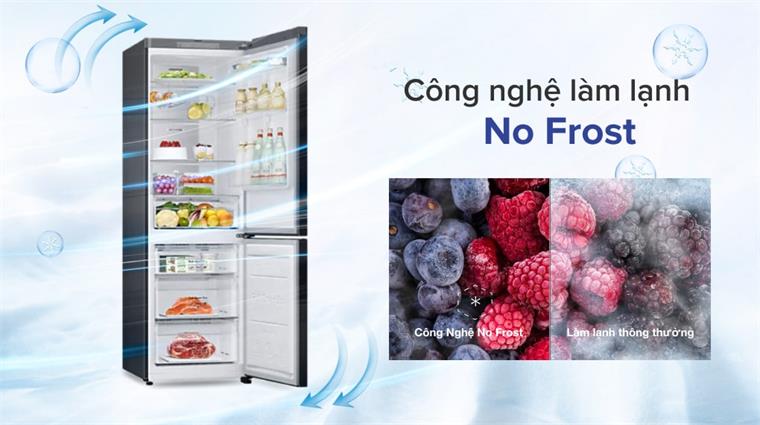 Điểm độc đáo bạn nên biết về tủ lạnh Samsung 2 cánh RB27N4020S9/SV
