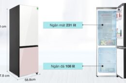 Đẳng cấp tạo sự khác biệt - Tủ lủ lạnh Samsung RB33T307055/SV ngăn mát trên