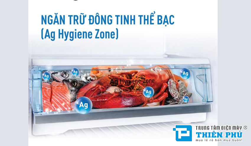 Tủ Lạnh Panasonic Inverter 2 Cánh 366 Lít NR-TL381BPS9