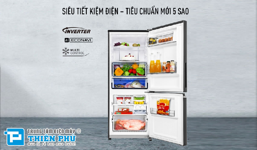 Tủ Lạnh Panasonic Inverter 2 Cánh 366 Lít NR-TL381BPS9