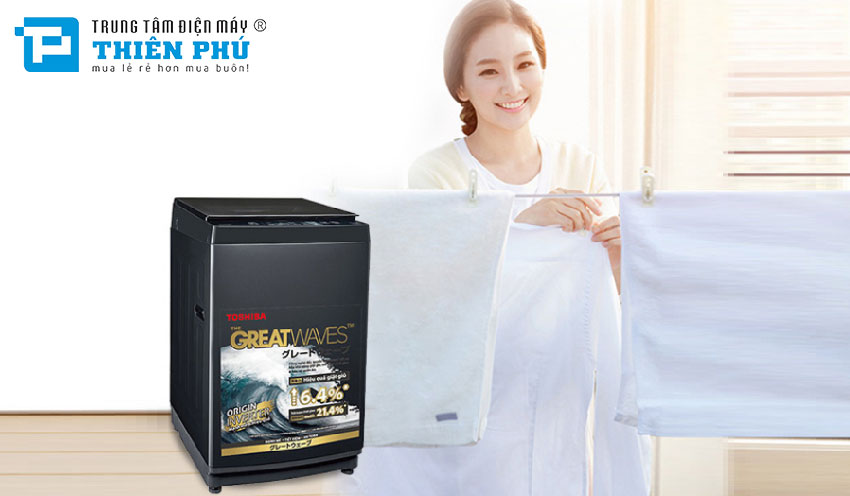 Máy Giặt Toshiba 10,5Kg AW-DUK1160HV(SG)