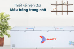 Lý do nên mua tủ đông Sanaky Inverter VH-1399HY3 1 Ngăn Đông 1300 Lít