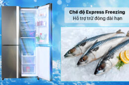 Tìm hiểu tủ lạnh Sharp SJ-FX600V-SL 4 Cánh với một cái nhìn mới