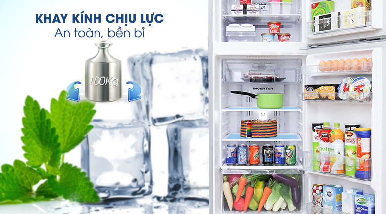 Có nên mua tủ lạnh hitachi R-H310PGV7(BBK) cho gia đình 2-4 thành viên không?