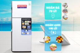 5 lý do bạn nên lựa chọn tủ lạnh hitachi 2 cánh R-H310PGV7(BBK) sử dụng cho gia đình
