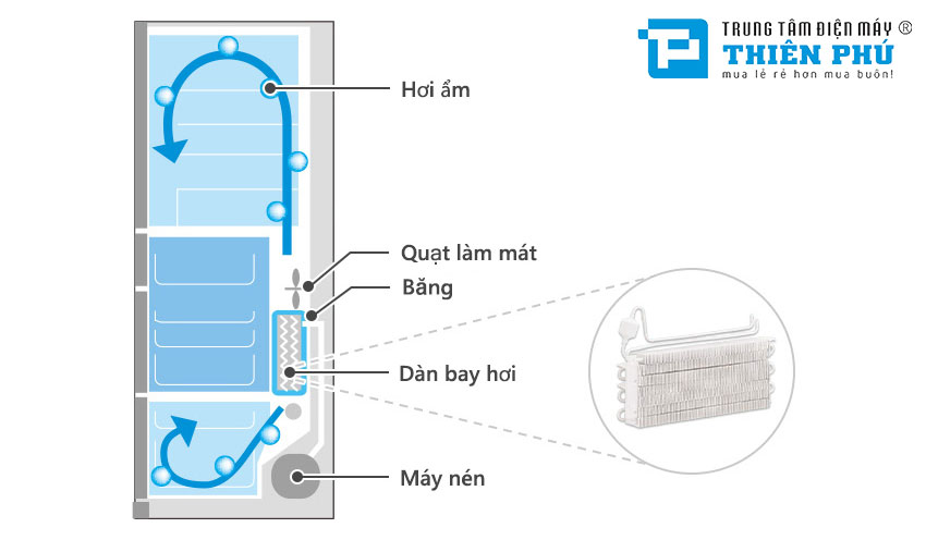 Tủ Lạnh Hitachi Inverter 6 Cánh 540 Lít R-HW540RV(X)