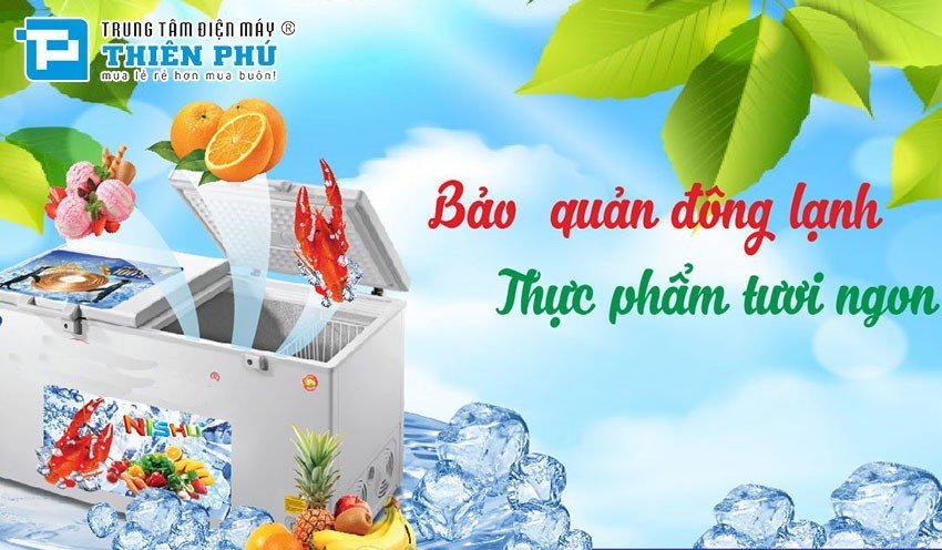 Những sai lầm khi sử dụng tủ đông Sanaky mà người dùng hay mắc phải