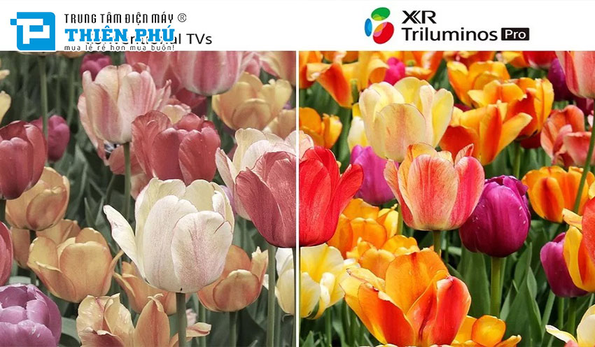 Có gì đáng chú ý trên chiếc Tivi Sony 98 inch XR-98X90L màn hình siêu khủng