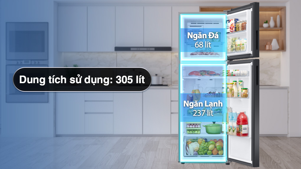 Lựa chọn tủ lạnh Samsung 2 cánh model nào dùng hiệu quả?