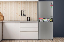 Mẫu tủ lạnh 2 cánh nào đang được đánh giá là tốt nhất?