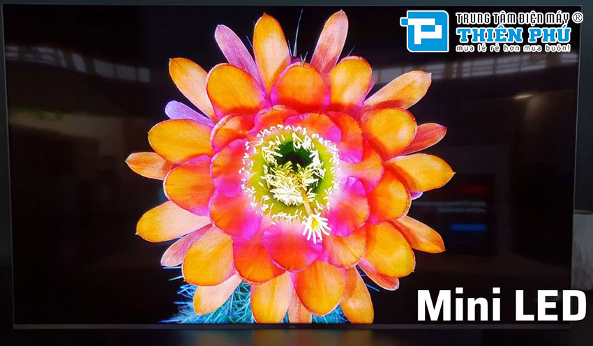 So sánh tivi Sony X95L màn hình Mini LED và Sony X90L màn hình Full Array LED