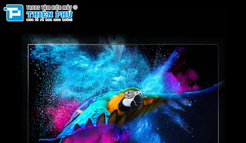 Nâng cao trải nghiệm giải trí cùng tivi LG OLED OLED65A3PSA 65 inch cao cấp