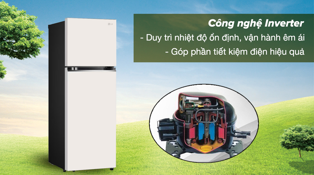 Model tủ lạnh 2 cánh nào được ưa dùng nhất trong năm 2024