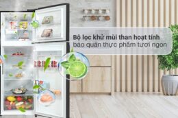 Một số ưu điểm nổi bật mà tủ lạnh LG GN-B392BG mang lại