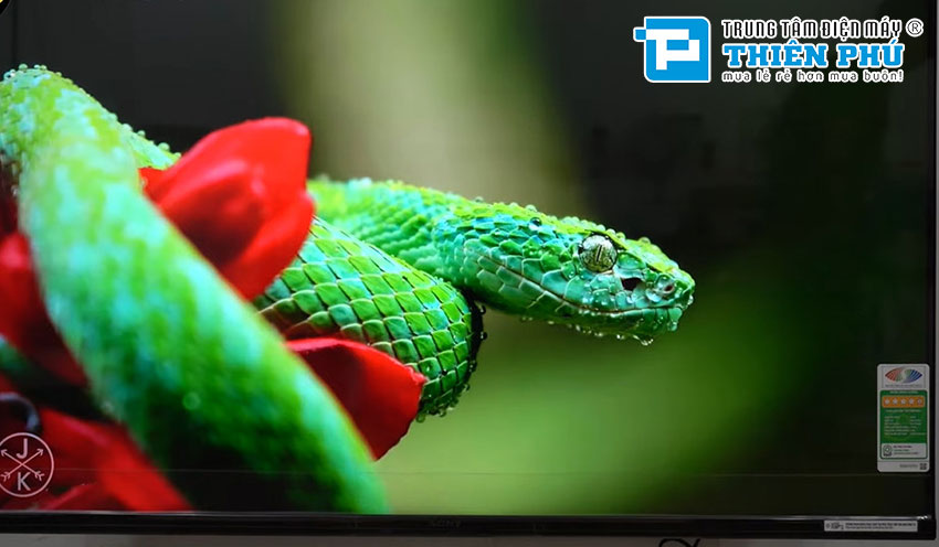 9 lý do vì sao hầu hết khách hàng đều mua tivi Sony chứ không phải Samsung hay LG