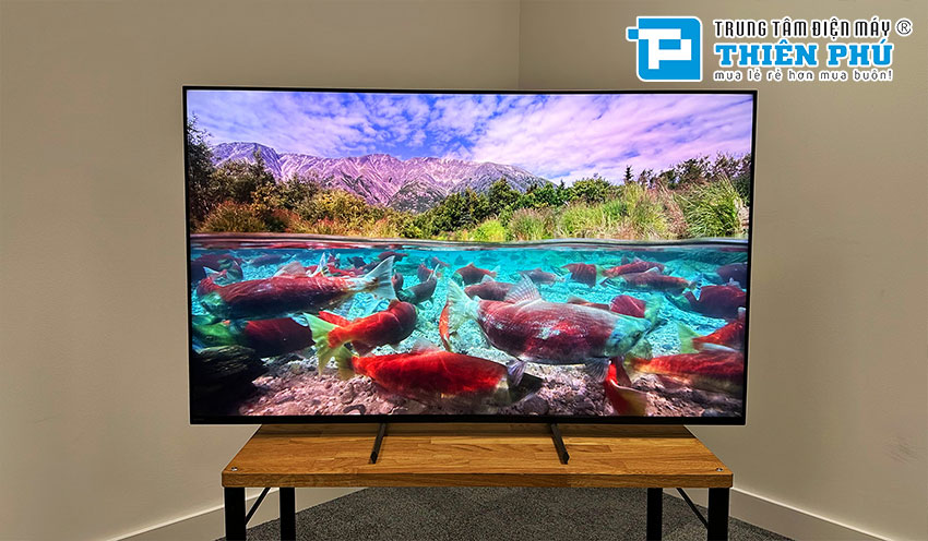 Tivi Sony 55 inch loại nào chất lượng đáng mua nhất 2023 - Chia sẻ dành cho bạn