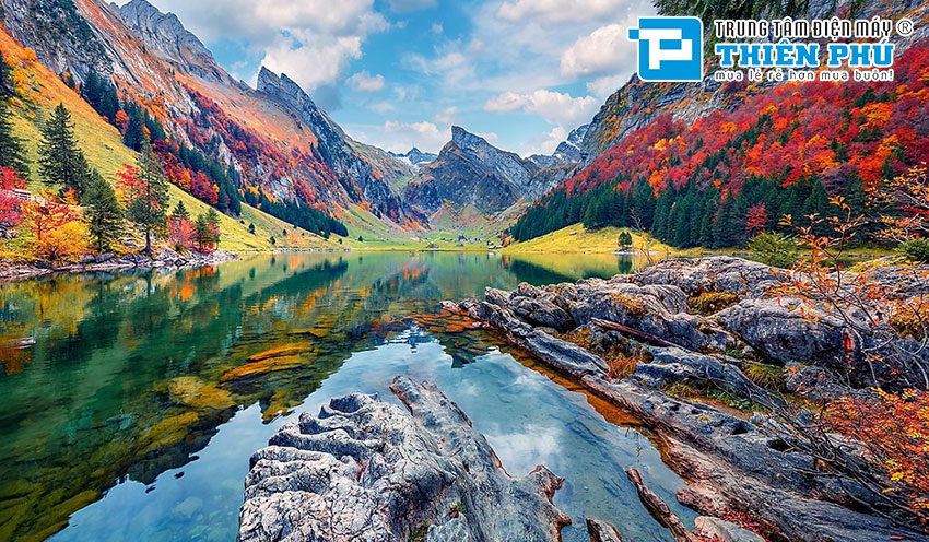Đánh giá các công nghệ xử lý hình ảnh có trên Tivi Sony 75 Inch 4K KD-75X80L