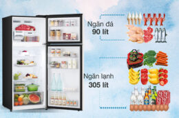 Tủ lạnh LG GN-B392BG 395 lít có phải lựa chọn lý tưởng?