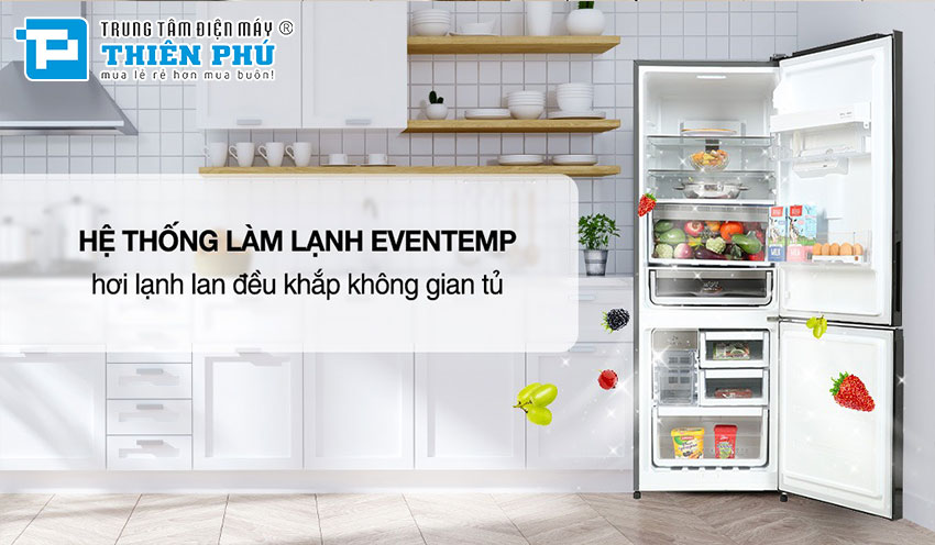 Vì sao tủ lạnh Electrolux 2 cánh 308 lít EBB3462K-H là sự lựa chọn ưu thích của mọi gia đình