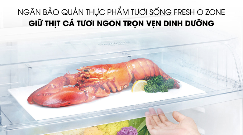 Giới thiệu tủ lạnh 2 cánh LG GN-L702GBI dung tích 506 lít