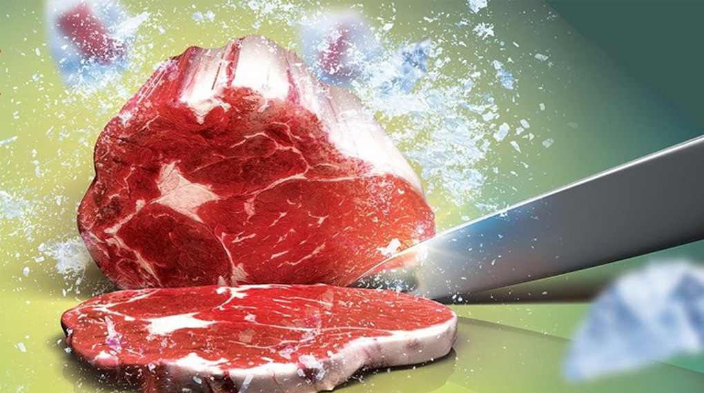 Tủ lạnh Samsung RB27N4020S9/SV model 2025 lựa chọn số 1 của người dùng