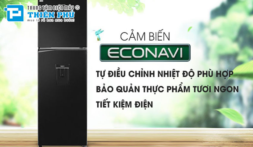 Tủ lạnh Panasonic Inverter 326 lít NR-TL351GPKV: Đánh giá, tính năng và lý do tại sao bạn nên chọn sản phẩm này