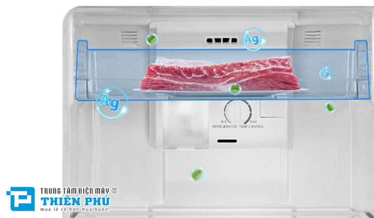 Tủ lạnh Toshiba inverter GR-RT303WE-PMV(52) giải pháp bảo quản thực phẩm hiện đại, tiết kiệm điện năng