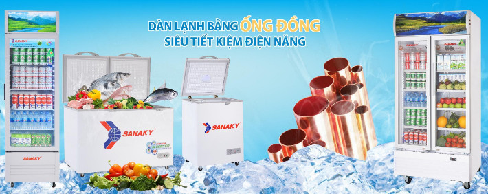 Các sự cố thường gặp khi sử dụng tủ đông Sanaky và cách sửa tại nhà đơn giản