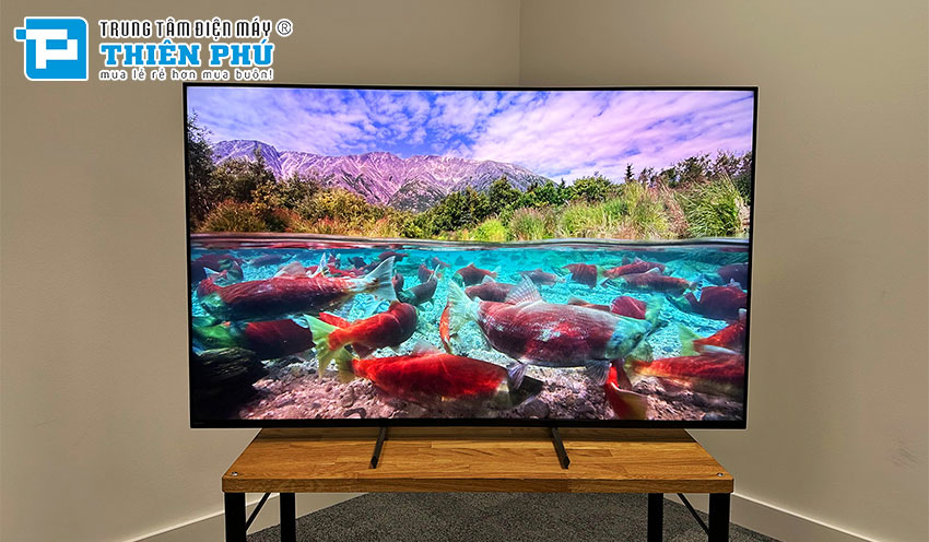 Top 3 Google Tivi Sony 4K 55 inch - Trải nghiệm giải trí vượt trội tại nhà