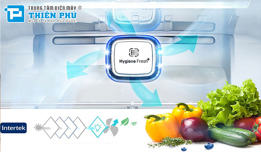 Đánh giá các công nghệ kháng khuẩn và khử mùi trên tủ lạnh Mitsubishi: Hiệu quả và ưu điểm