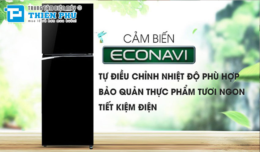 Tính năng và lợi ích khi sử dụng tủ lạnh Panasonic Inverter 2 cánh NR-BV331BPKV