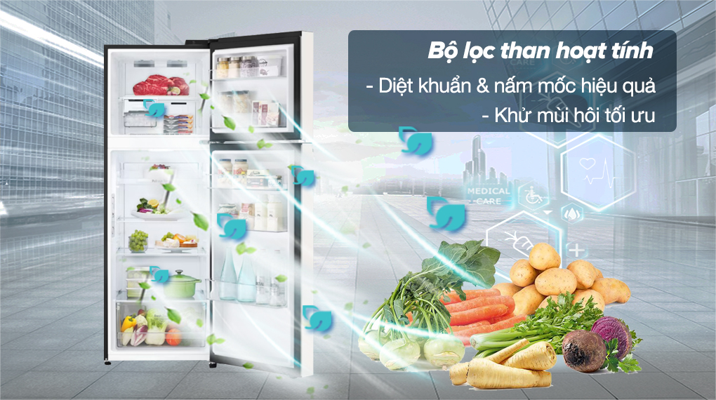 Những điều bạn cần phải biết về tủ lạnh LG GN-B332BG 335 lít