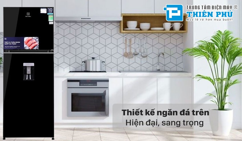 Đánh giá tính năng và giá bán của tủ lạnh Electrolux 2 cánh 308 lít EBB3462K-H