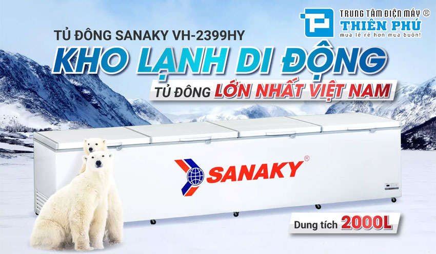 Tủ đông Sanaky VH-2399HY: Chia sẻ về nguồn gốc xuất xứ, thiết kế và tính năng