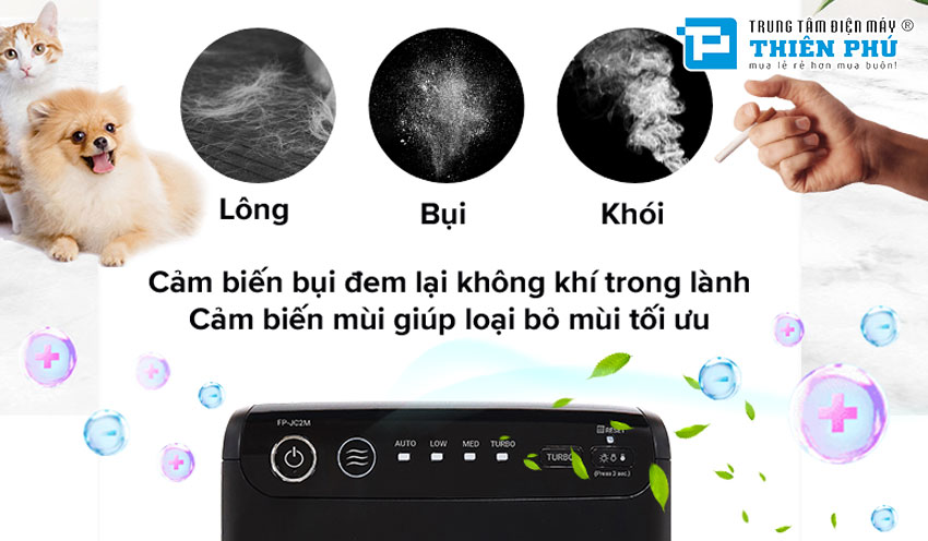 Máy Lọc Không Khí Sharp FP-JC2M-B
