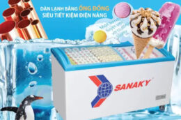 Top 3 tủ đông Sanaky tiết kiệm điện làm đông nhanh nhất mà bạn nên tham khảo