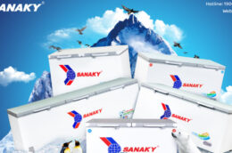 Điểm qua 3 mẫu tủ đông Sanaky được yêu thích có giá bán chưa đến 6 triệu đồng