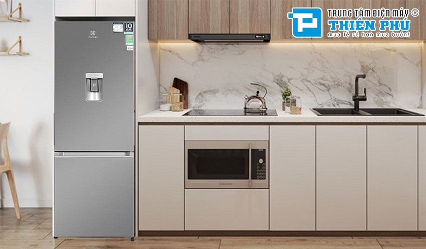 Tủ lạnh Electrolux 2 cánh 308 Lít EBB3442K-A: Đánh giá tính năng, công nghệ nổi bật